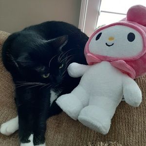 Meet your Posher, Arielle